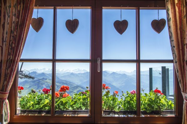 Wood Frame Window Replacement